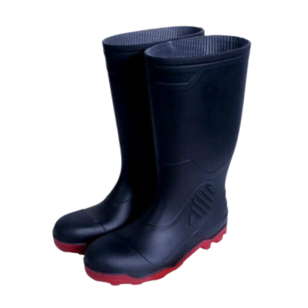 Bota sanitaria